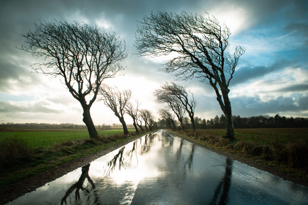 Vej med træer i stormvejr med regn og vind, Danmark 